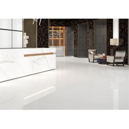 Space white glazed & polished porcelain